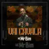 MC Mr Bim - Vai Cavala - Single